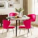 Option FUCHSIA