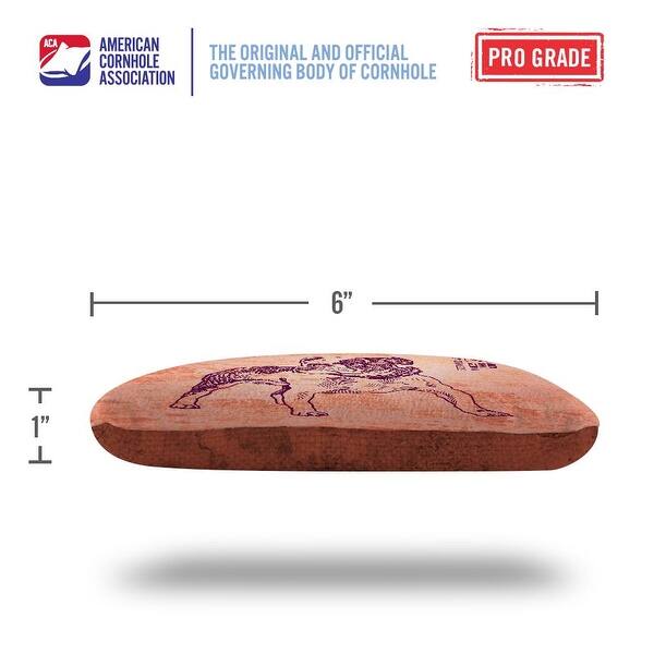 Go Fetch Orange Dual Sided Cornhole Bags