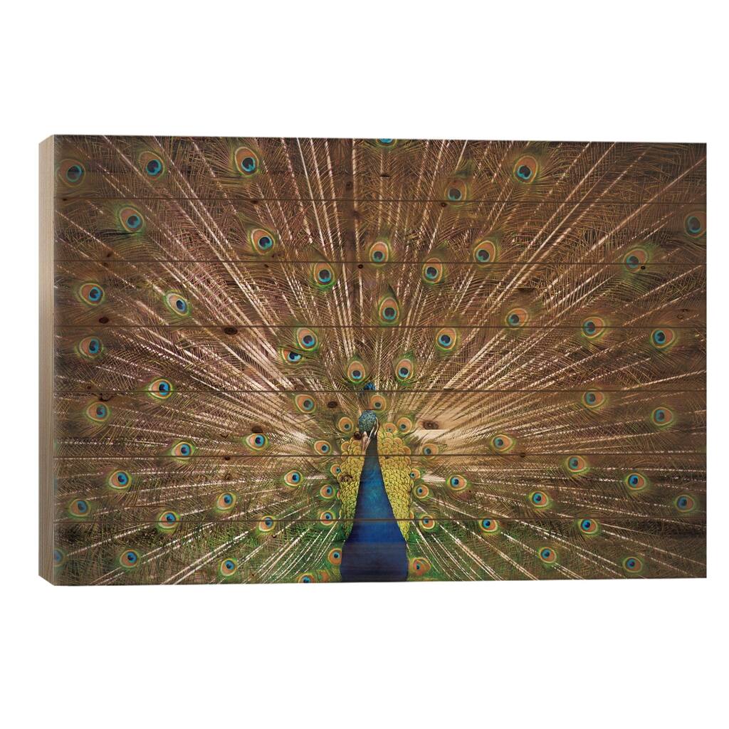 Proud as Peacocks II Print On Wood by Laura Marshall - Multi-Color