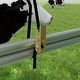 preview thumbnail 8 of 13, All-Weather Animal Shelter Cover – 12' x 12' Heavy-Duty Waterproof Farm Canopy