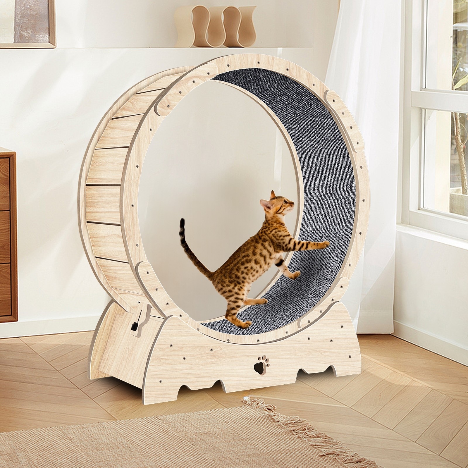 Cat Exercise Wheel for Indoor Cats