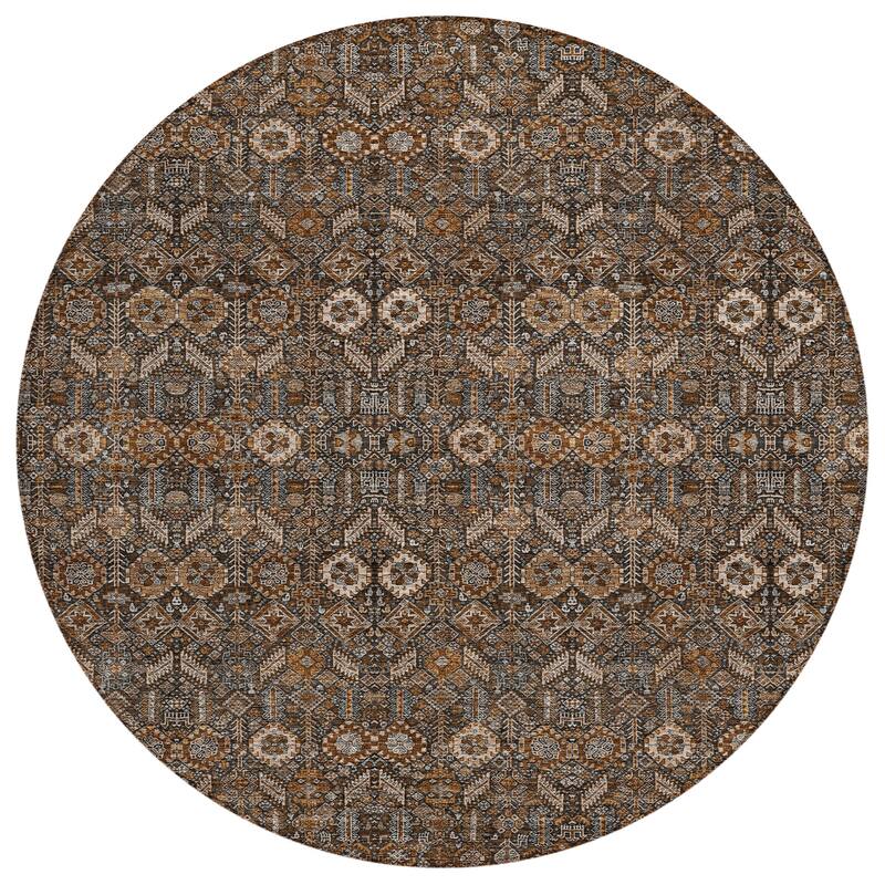 Machine Washable Indoor/ Outdoor Traditional Boho Chantille Rug