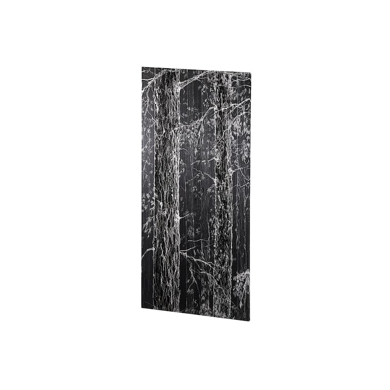 Forest BW II (22 x 44) Canvas Art Print