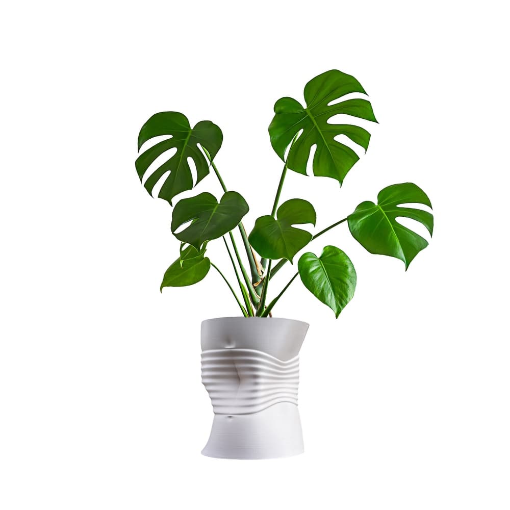 happimess Brent MidCentury Modern Indoor Crushed Can Eco-Friendly 3D Printed Planter with Drainage