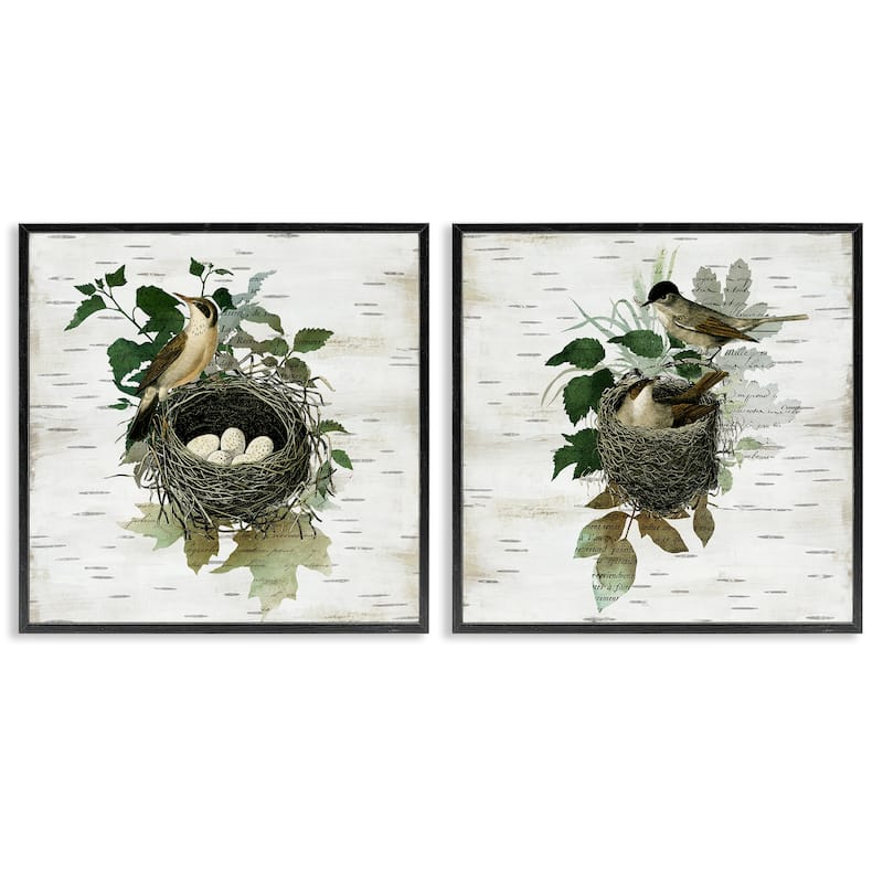 Stupell Rustic Vintage Bird Nests Framed Giclee Art Design By Susan Arnot (Set of 2) - 24 x 24 - Black