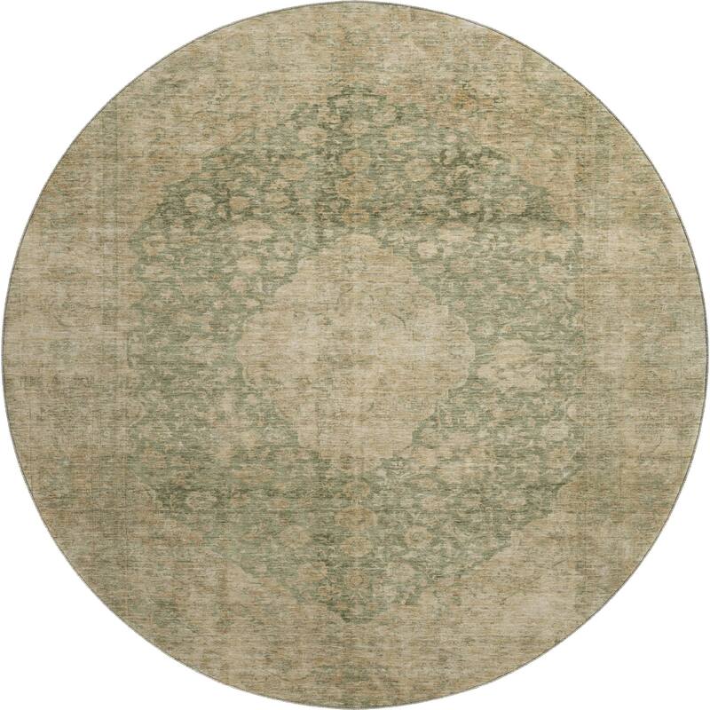 Premium Washable Super Soft Vintage Traditional Mayfield Rug