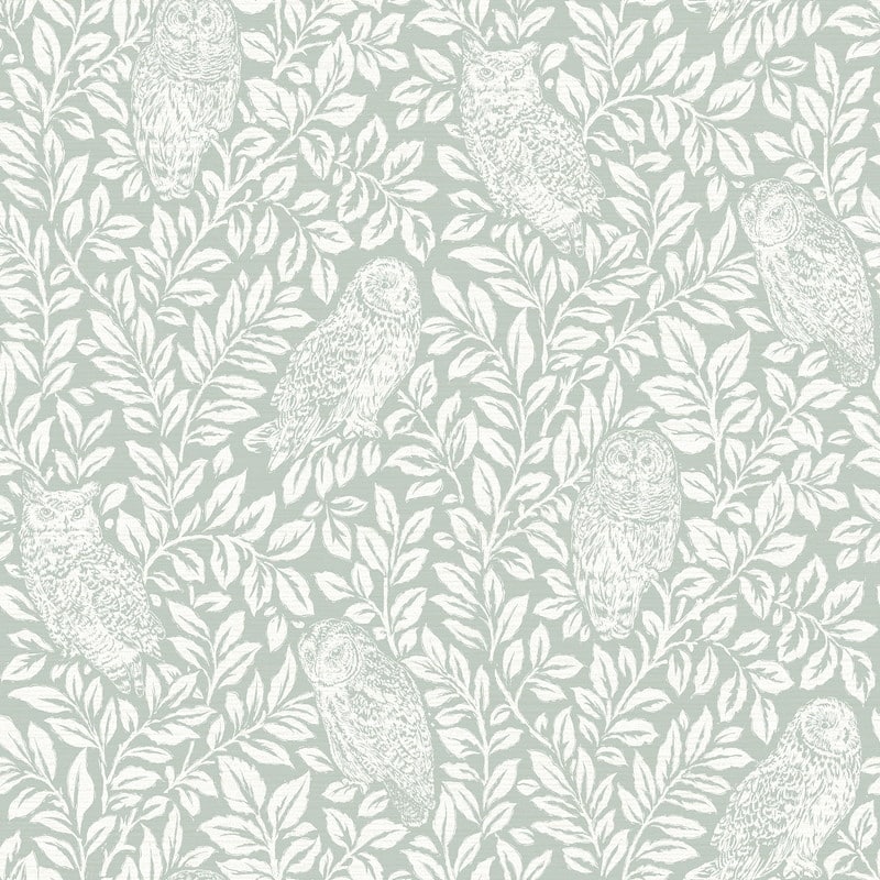 Chesapeake Parliament Teal Owl Wallpaper - 20.5in x 396in x 0.025in