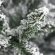 preview thumbnail 13 of 15, Fraser Hill Farm 10-Ft. Flocked Mountain Pine Christmas Tree - Snow
