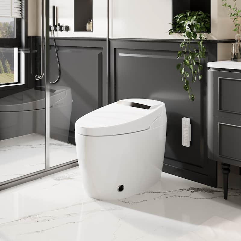 Smart Toilet with Heated Seat & Warm Air Dryer, Auto Flush One Piece Toilet with Night Light, Self Cleaning Nozzle