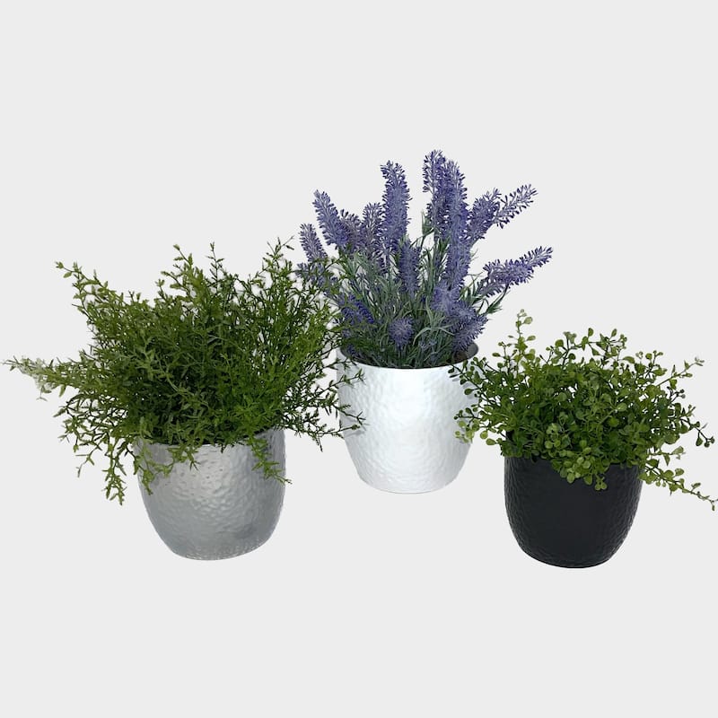 3 Piece Set of Indoor Ceramic Plant Pots, Boston 6.3" White, 5.5" Silver, 5.1" Anthracite - 6.3"D, 5.5"D, 5.1"D