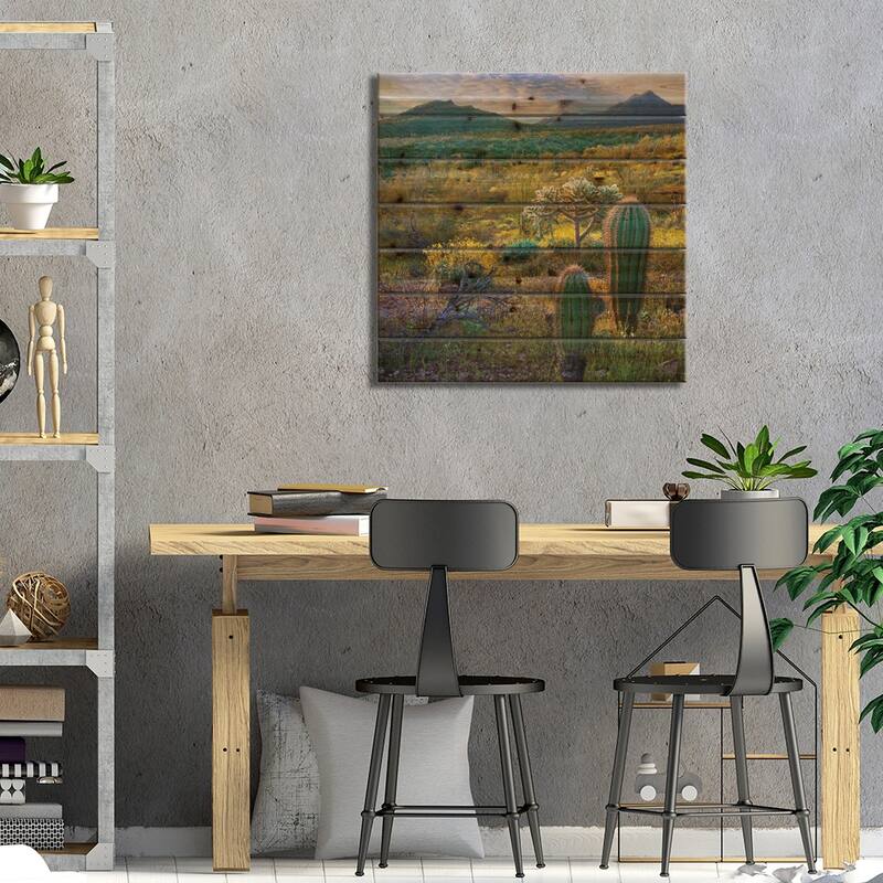 Ajo Mountains, Organ Pipe Cactus National Monument, Sonoran Desert, Arizona Print On Wood by Tim Fitzharris - Multi-Color