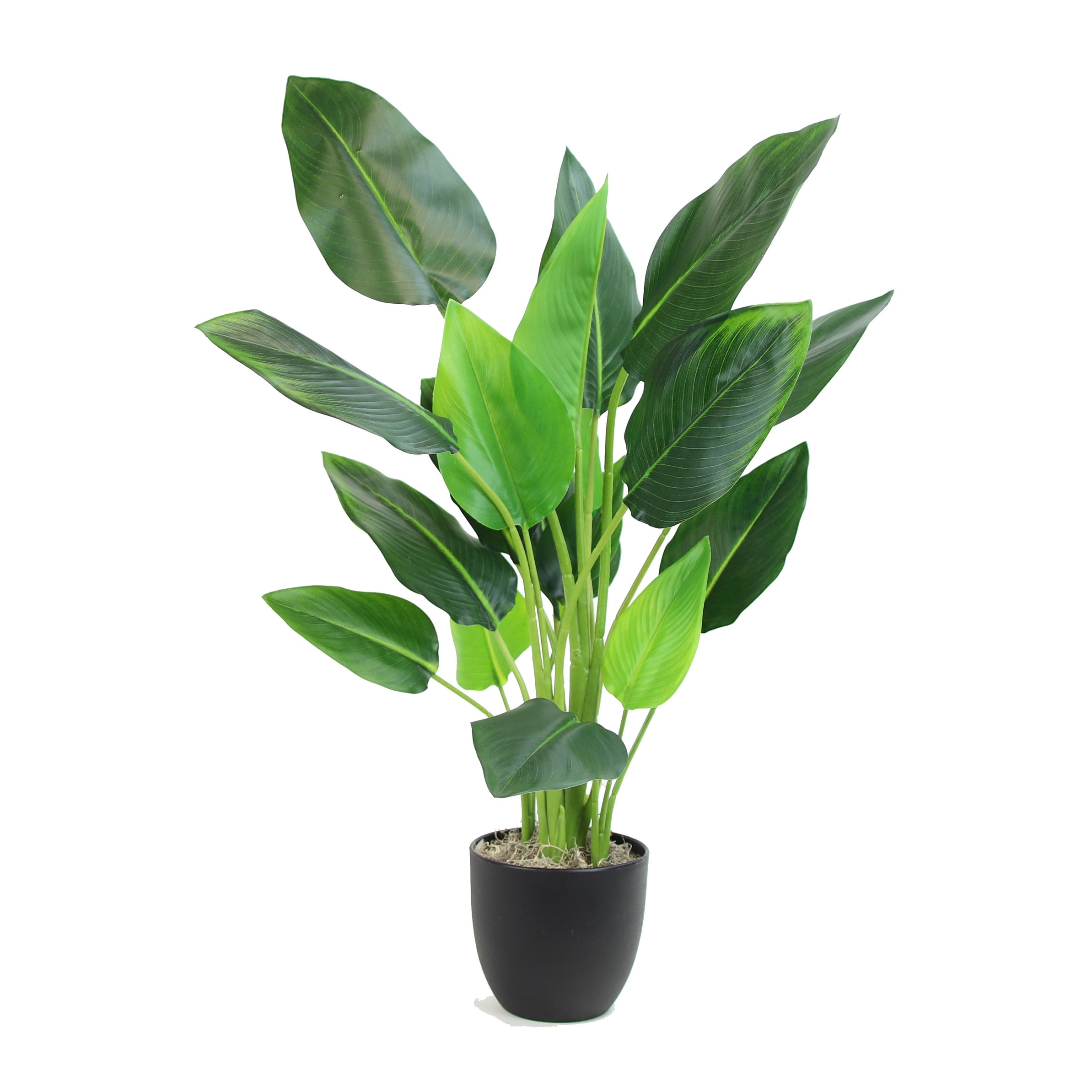 Artificial Plants and Flowers