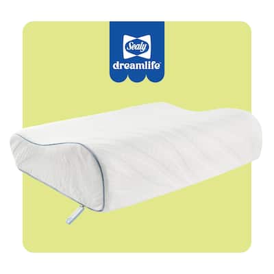 Sealy Dreamlife Contour Memory Foam Pillow, Standard
