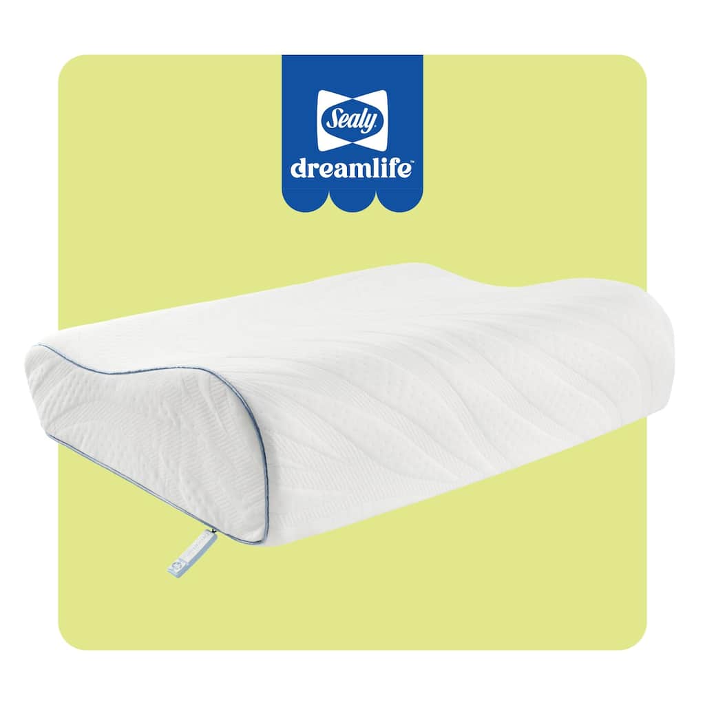 Sealy Dreamlife Contour Memory Foam Pillow, Standard