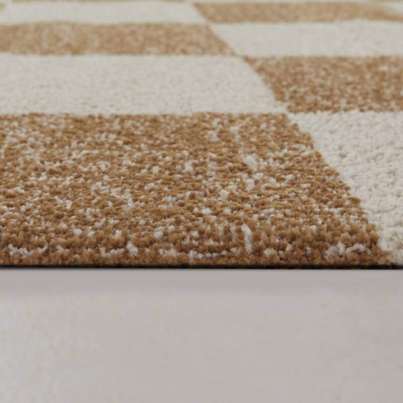 Reinhart Checkered Area Rug