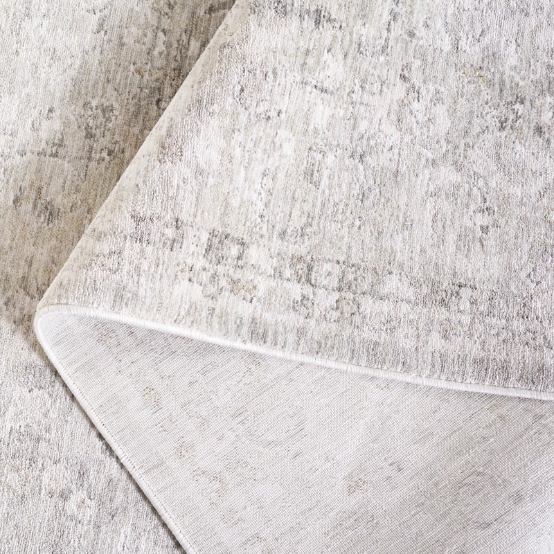 SAFAVIEH Mason Belizanda Vintage Rug.