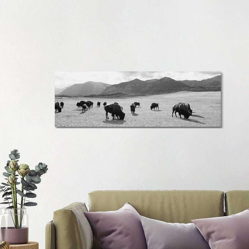iCanvas "Herd Of Bisons Grazing In A Field, Waterton Lakes National Park, Alberta, Canada" by Panoramic Images Canvas Print - 16x48x1.5