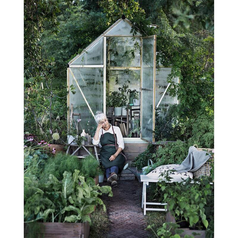 Harmony 6 ft. Silver & Grey /Clear DIY Greenhouse Kit