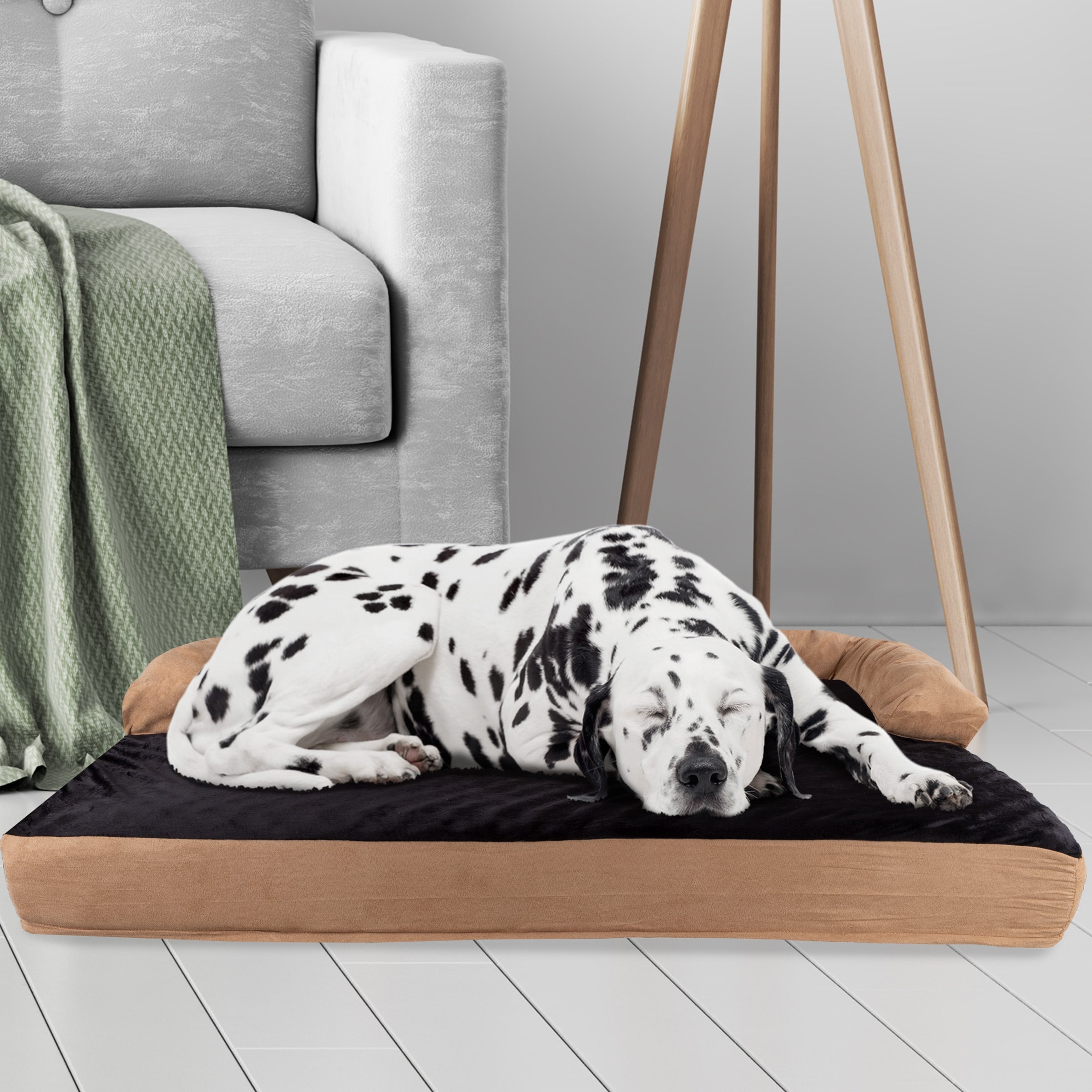 Dog beds black cheap