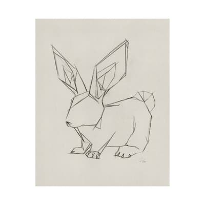 Geo Bunny (28 x 35) Canvas Art Print