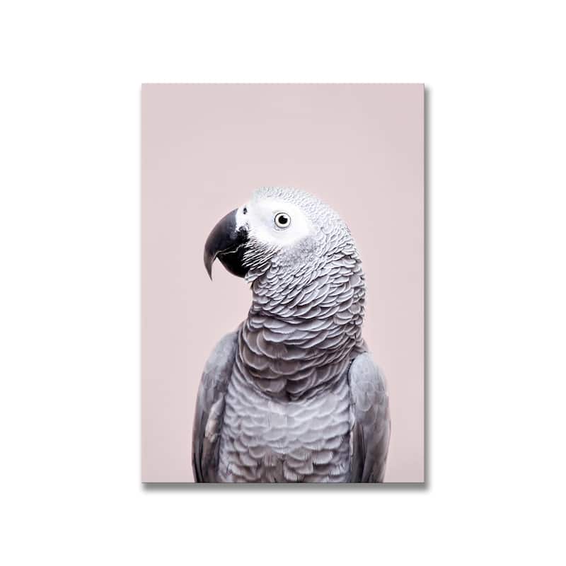 "African Grey" Framed Print Wall Art by Kathrin Pienaar