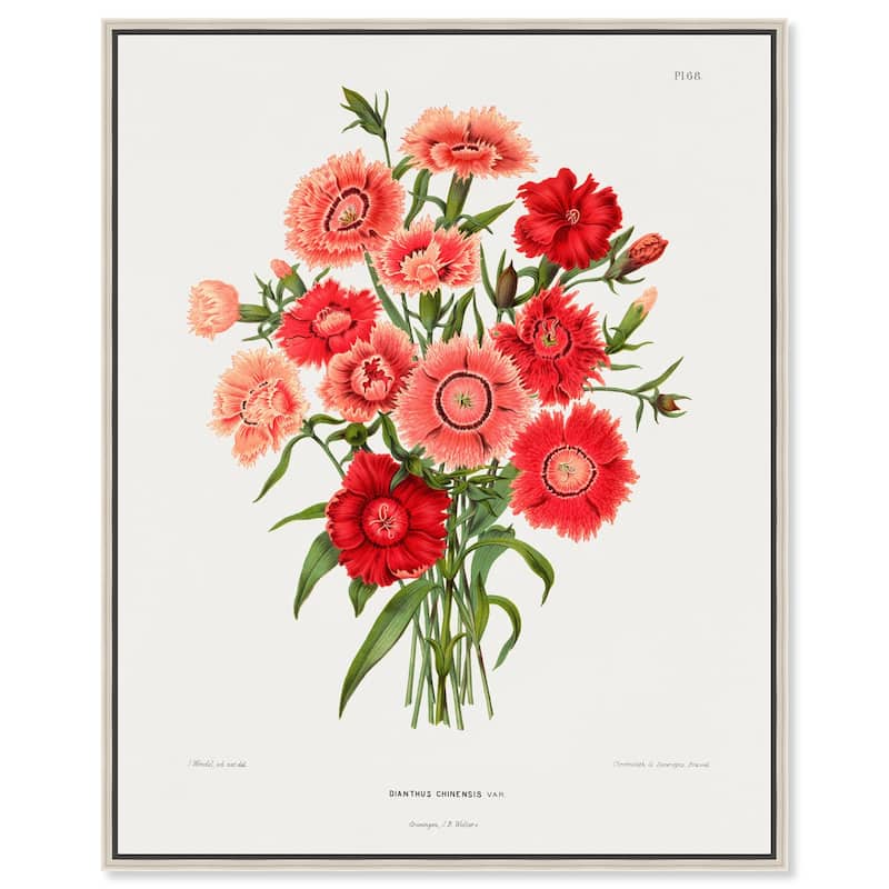 Rainbow Pink Flower by Wendel Canvas by Art Remedy - Silver - 36" x 45"