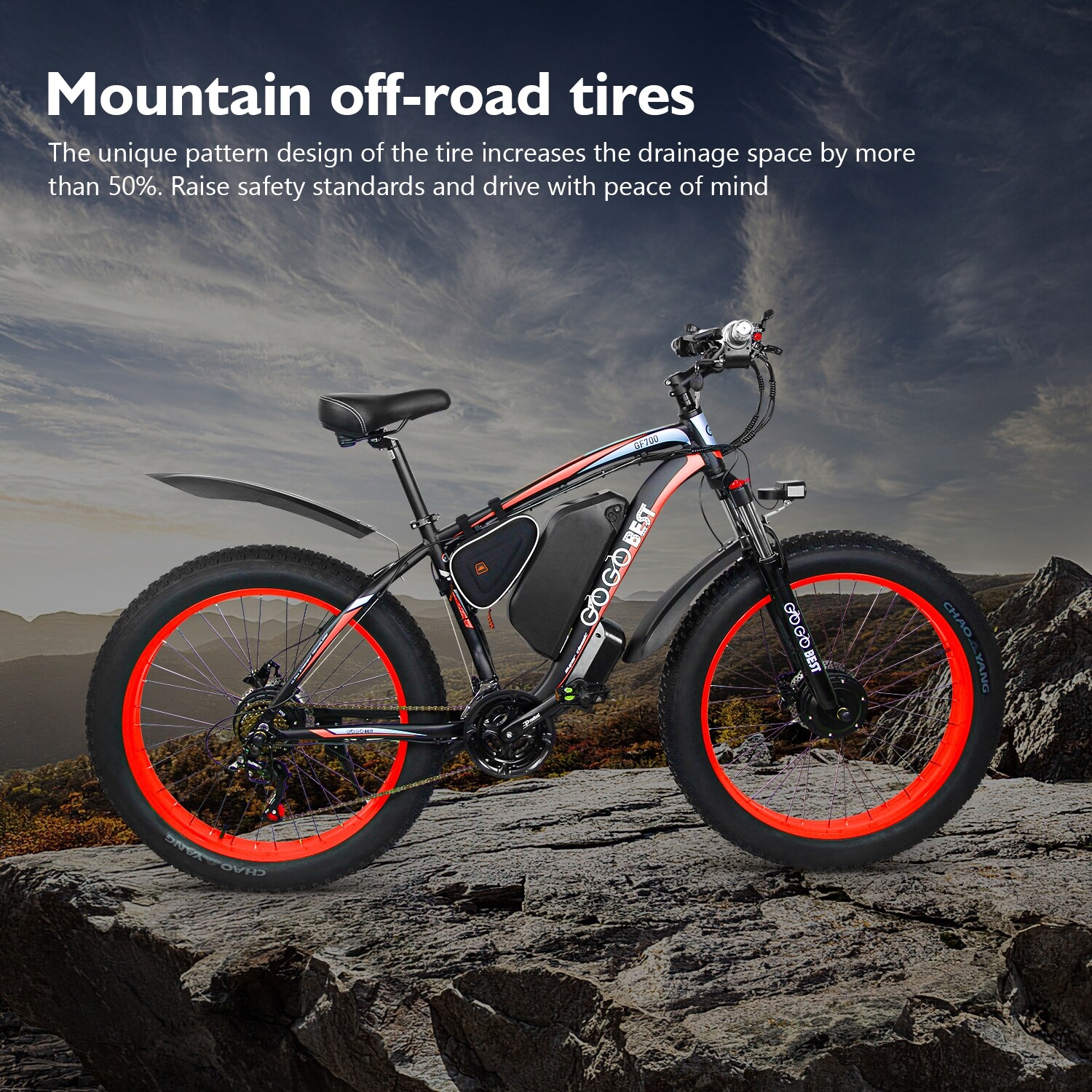 dual drive electric bike