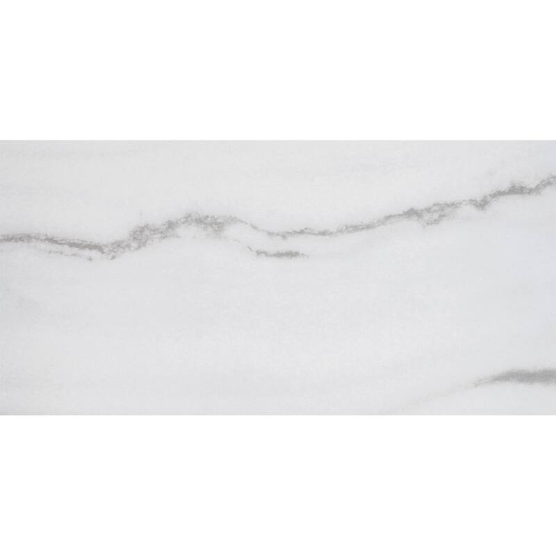 Penthouse 12x24 Polished Porcelain Tile - Floor, Wall - Large Format