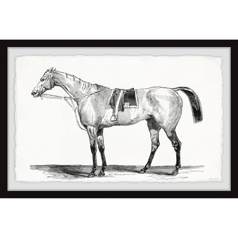Ready for the Ride Framed Print