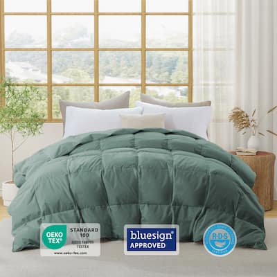 Medium Warmth 300TC Organic Cotton Down Comforter - 100% Natural, Chemical-Free, All Season Duvet Insert