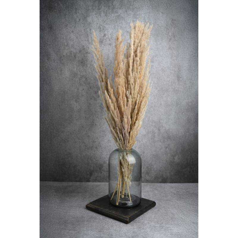 Long Dried Pampas Grass Spray Bundles - 24.5" - Brown