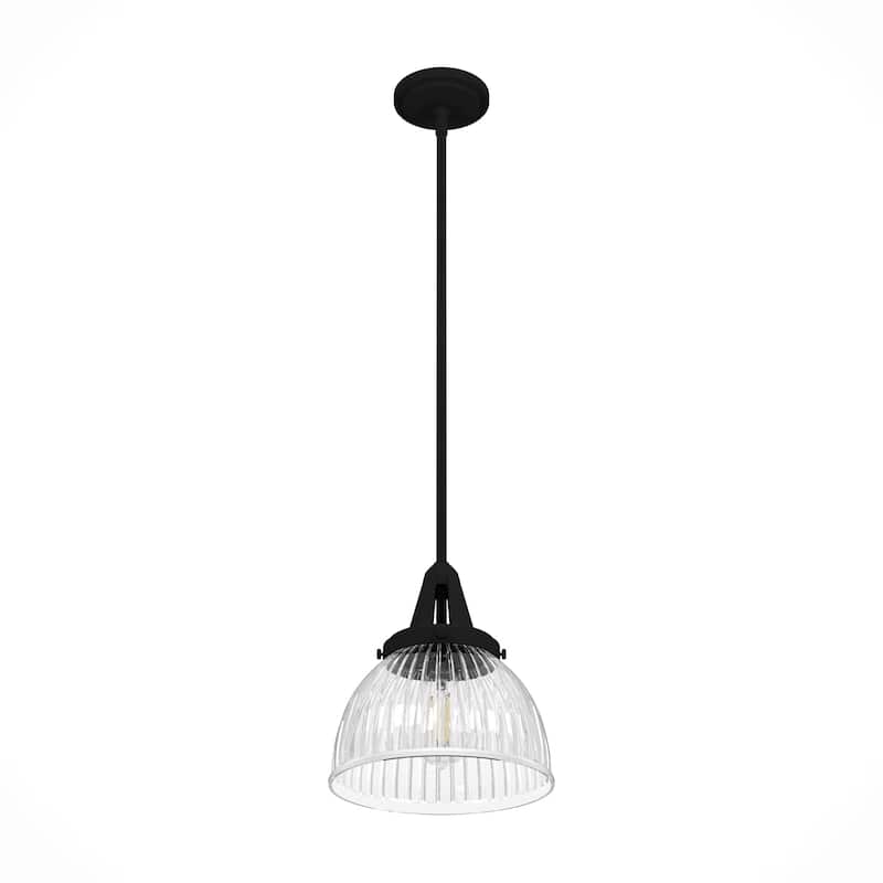 Hunter Cypress Grove 10" 1-Light Pendant - Island, Dining Room - Industrial, Transitional, Contemporary