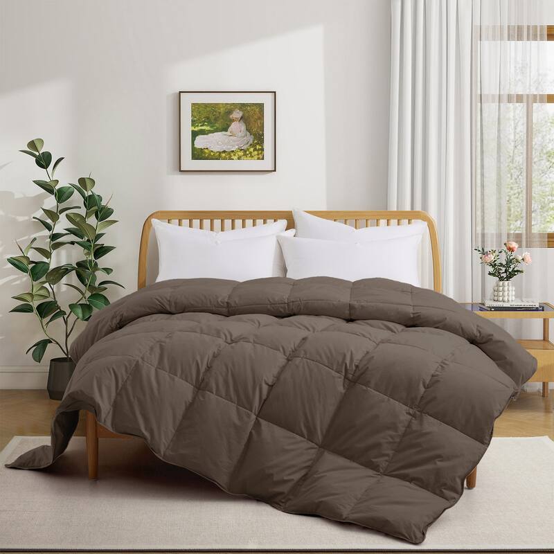 All Season Organic Cotton Down & Feather Comforter Made in Germany - Twin - Coffee Brown