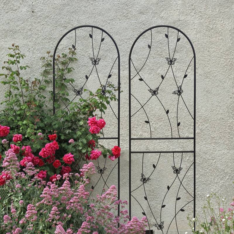 2 Pack Metal Garden Trellis 71in x 19.7in Rustproof Trellis