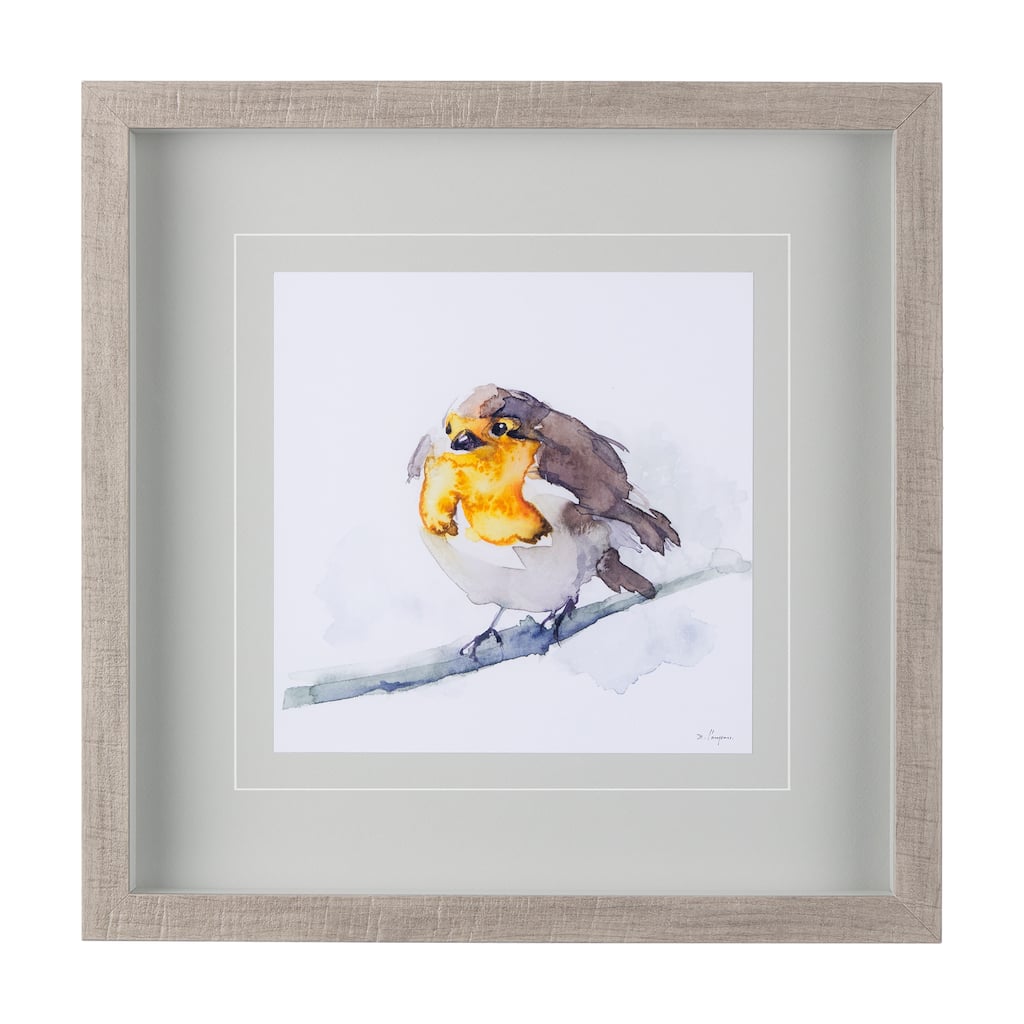 Robin III Framed Art Print