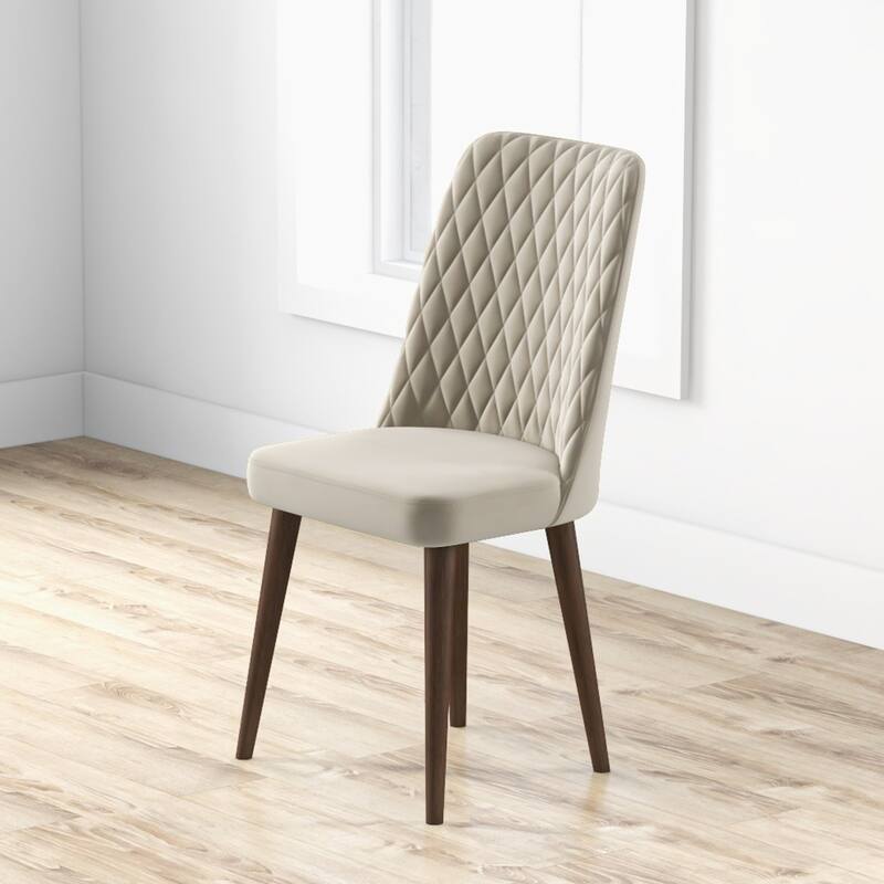Set of 2 Mid-Century Modern Velvet Dining Chair for Living Room