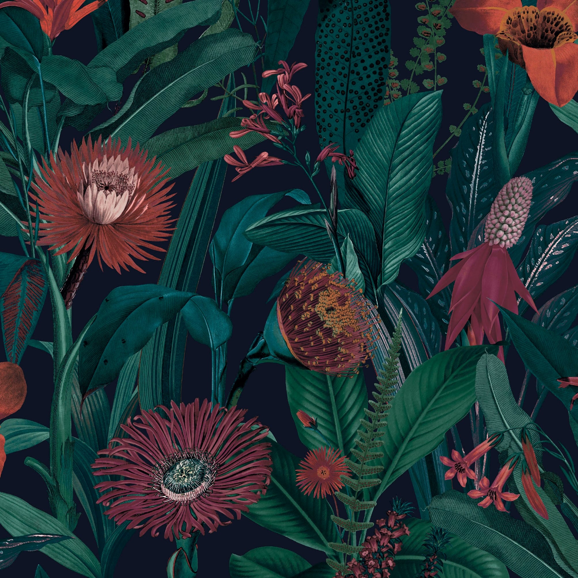 Tigerlily Midnight Wallpaper
