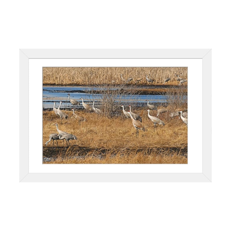 iCanvas "Sandhill Crane Migration" by Brian Wolf PFA - White - 16x24x1