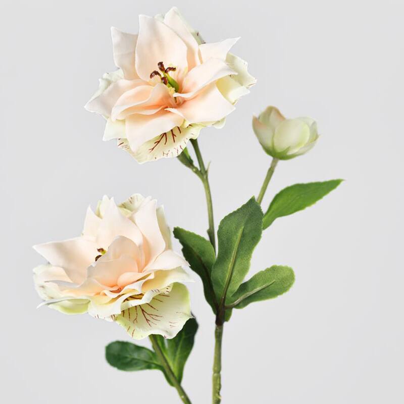 Silk Decorative Artificial Persian Buttercup(Pack of 1 Branch)