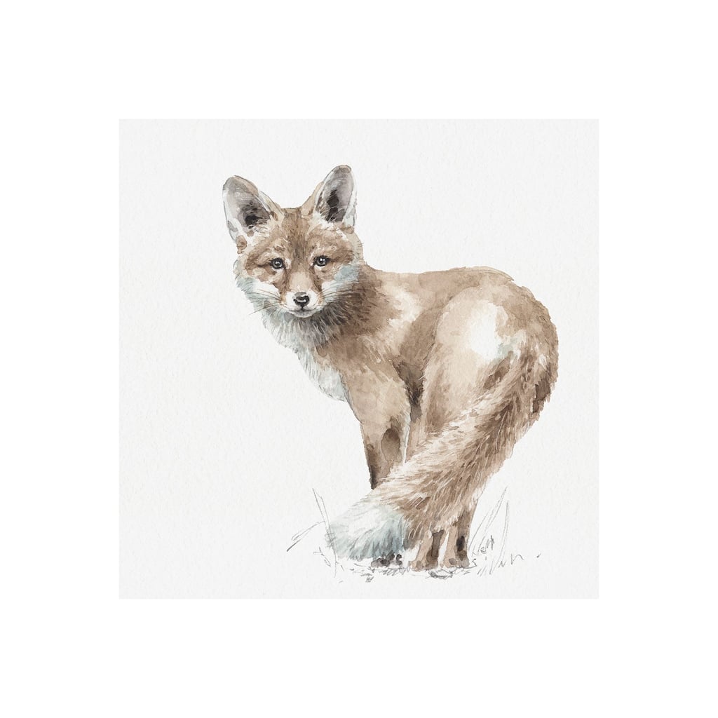 Forest Friends XI (Fox) (30 x 30) Canvas Art Print