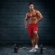 preview thumbnail 11 of 46, Olympic Weight Plates 5.5LB Plates Standard 2" Exercise Weights Weightlifting and Bodybuilding, Solid Iron Weight Plates