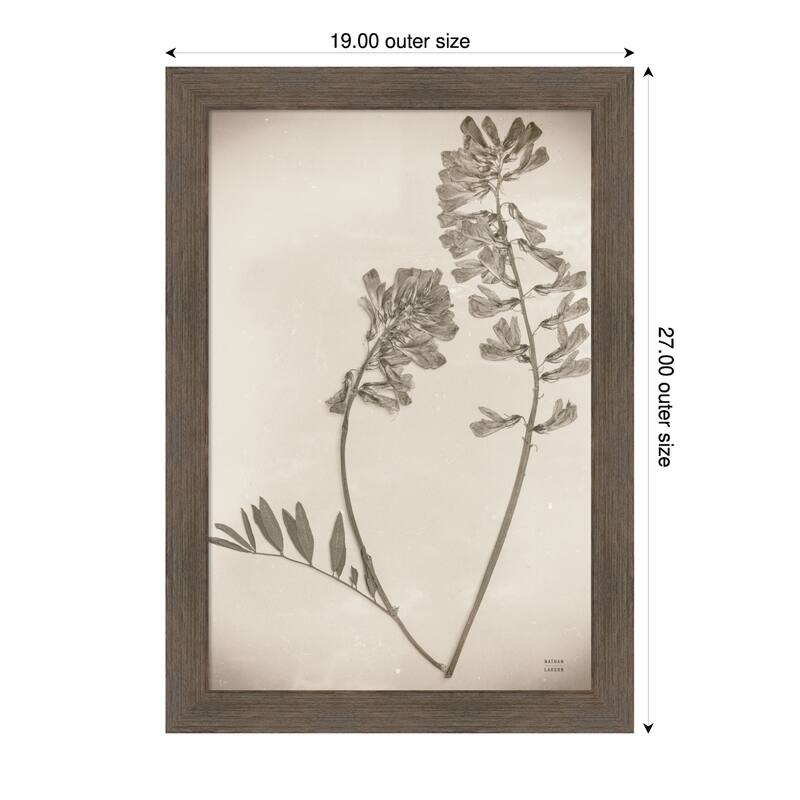 Wildflower Journal Vintage No. 6 by Nathan Larson Wood Framed Wall Art Print - 19 x 27 in - Brown