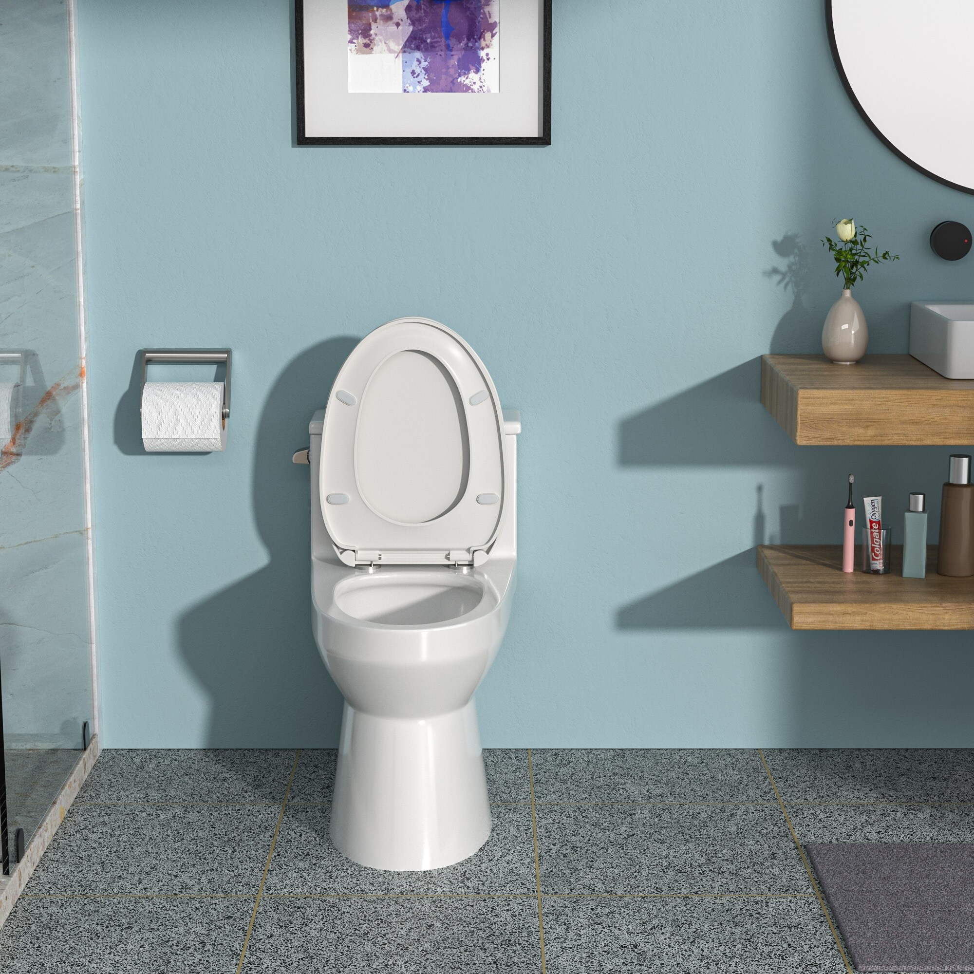 Ceramic One Piece Toilet, Single Flush with Soft-close Seat