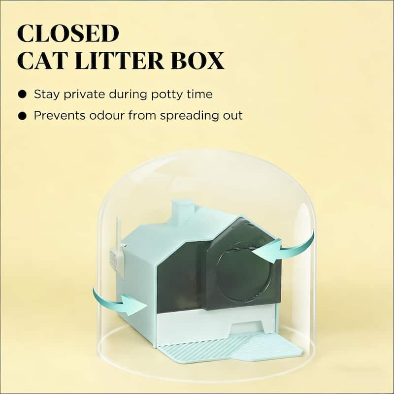 Cat Litter Box