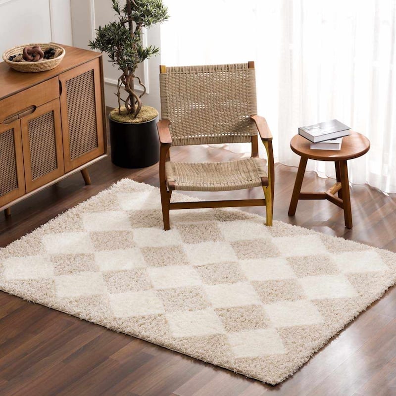 Hauteloom Zahur Living Room, Bedroom Area Rug - High Pile - Beige - 5'3" x 7'3"