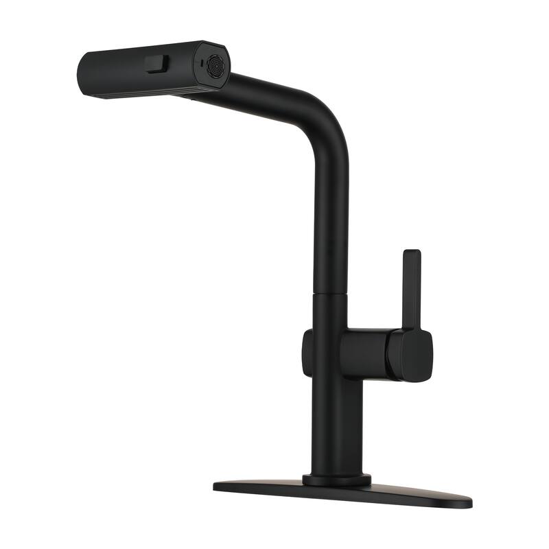 Single Handle Pull Out Sprayer Kitchen Faucet with 3 Functions Spray, 360° swivel - Matte Black