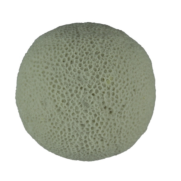 White Round Resin Brain Coral Sculpture 7 inch - 7 X 7 X 7 inches