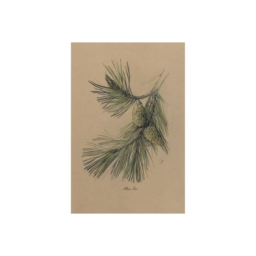 Evergreen collection I (20 x 30) Canvas Art Print
