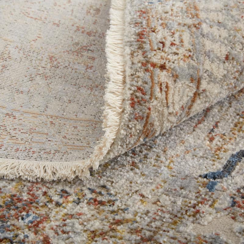 Frencess Medallion Vintage Area Rug