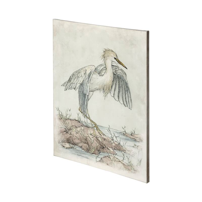 Cattle Egret (36 x 48) Canvas Art Print - Large